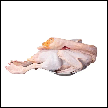 鸭肉